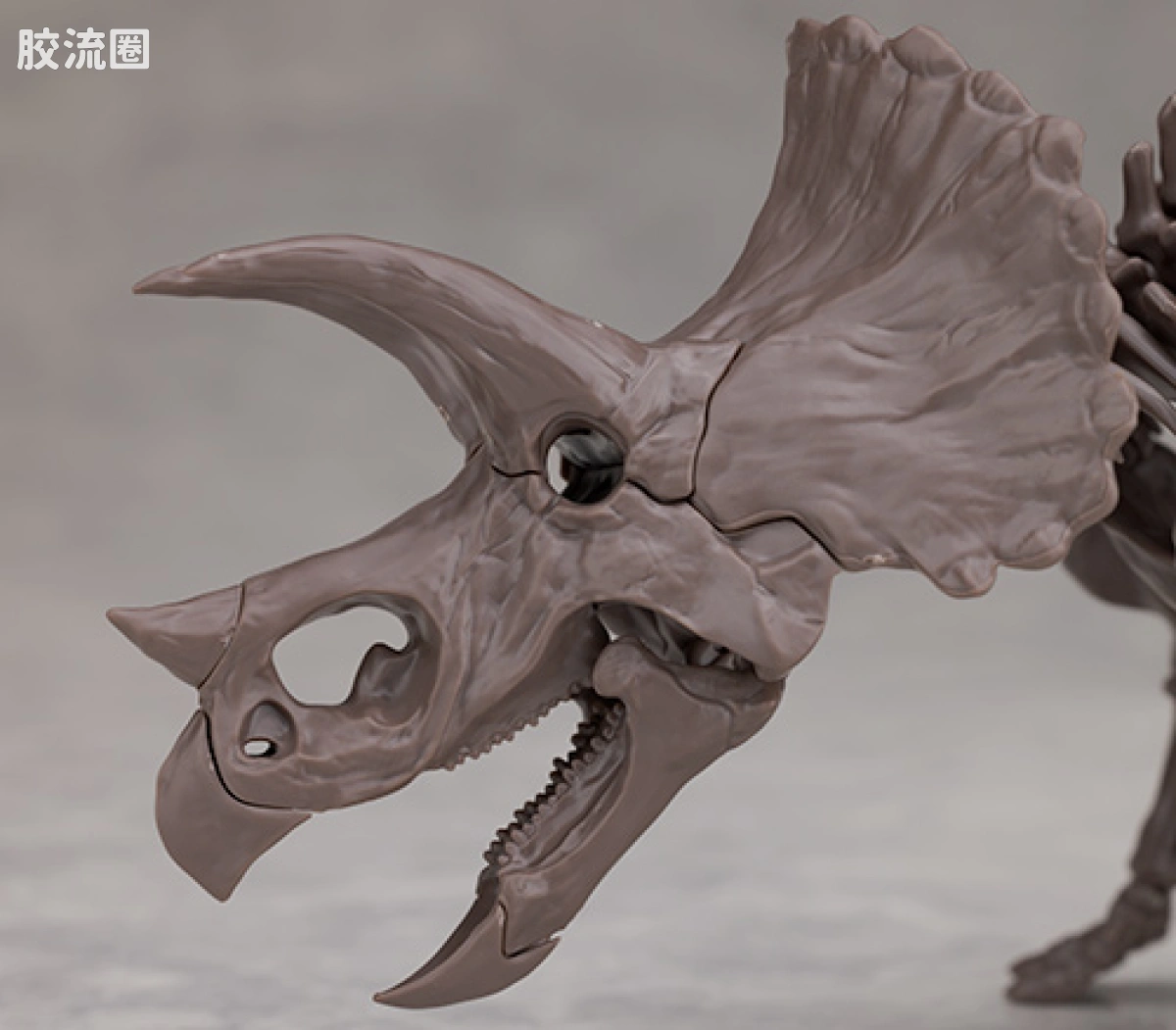 万代综合拼装模型系列 Imaginary Skeleton系列 三角龙 - 图片
